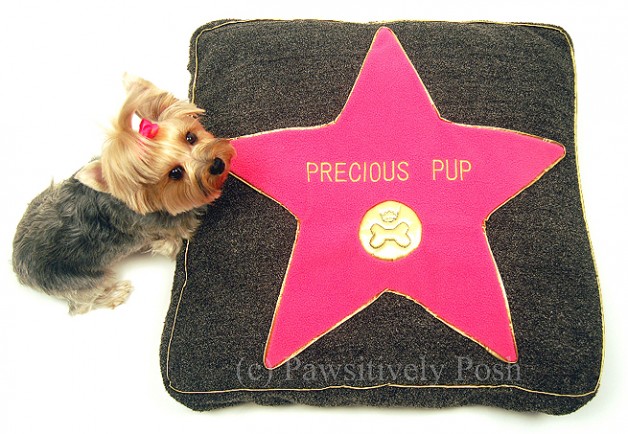 camas-diferentes-para-pets-blog-carola-duarte