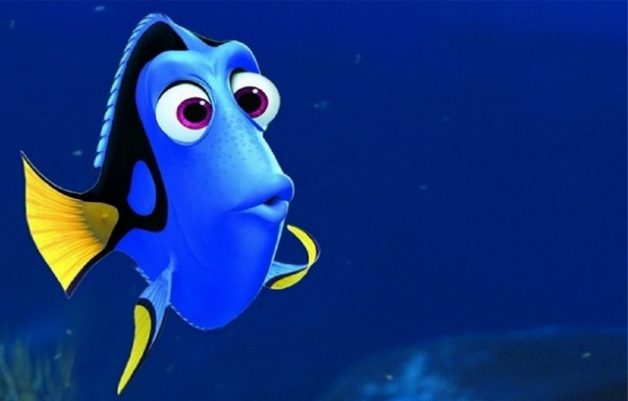 procurando-dory1_8upn.640