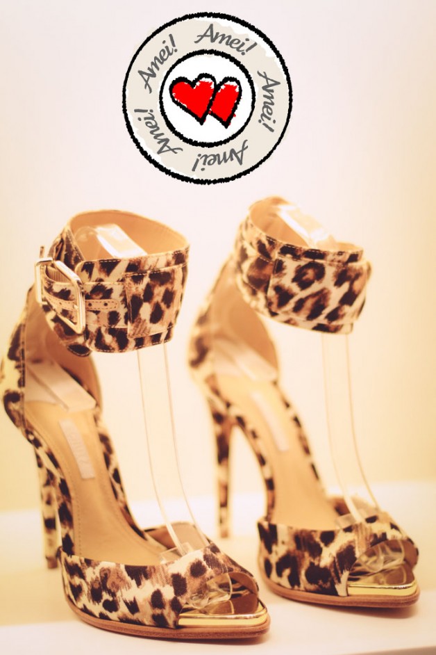 lançamento-schutz-summer-collection-2014-schutz-ribeirão-shopping-sté-frateschi-blog-carola-duarte