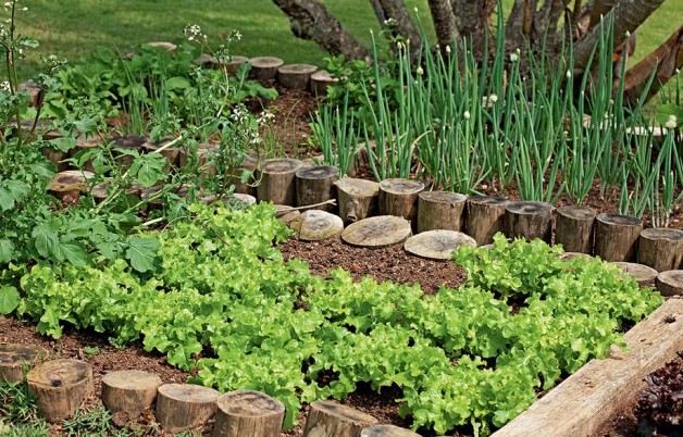 Ideias charmosas para fazer uma horta em casa