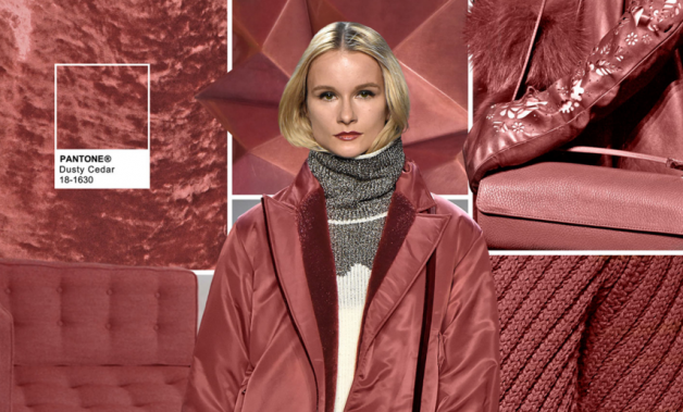 pantone-cores-fall-2016-dusty-cedar