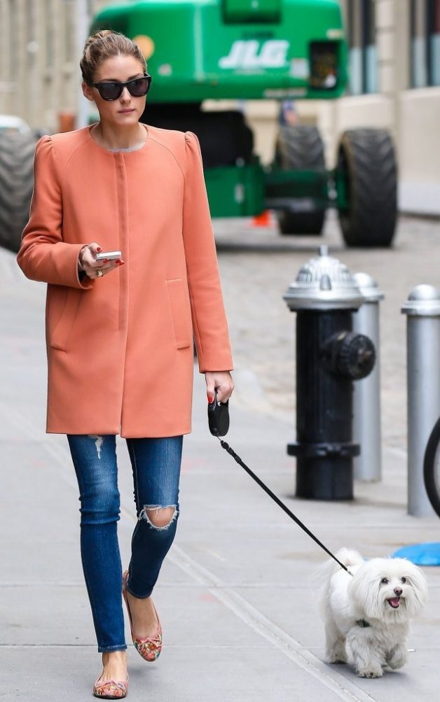 oliviapalermooliviapalermowalksdogbrooklyntwhkeq66a5px